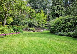 Optimiser l'expérience du jardin à Beaumont-de-Pertuis